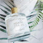 Отзыв Zarkoperfume Molecule 234.38
