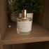 Парфюмерия Molecule 234.38 от Zarkoperfume