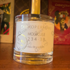 Отзыв Zarkoperfume Molecule 234.38