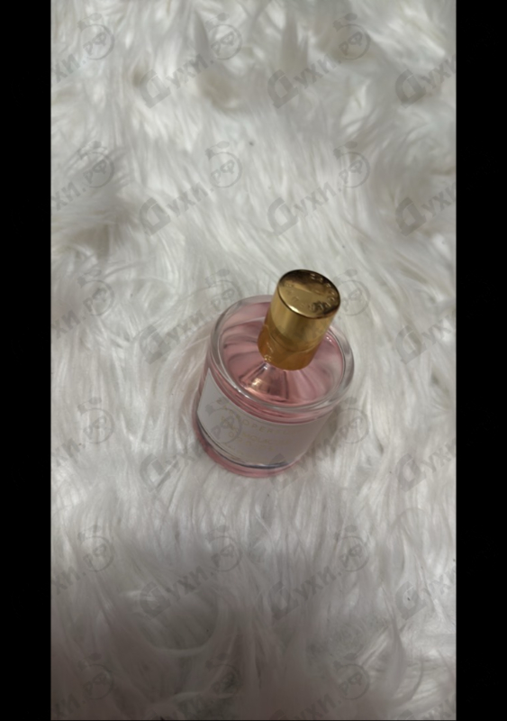 Купить Pink Molecule 090.09 от Zarkoperfume