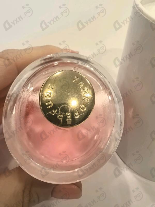 Купить Pink Molecule 090.09 от Zarkoperfume