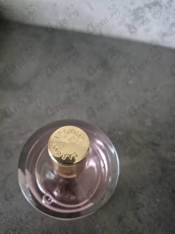 Купить Pink Molecule 090.09 от Zarkoperfume