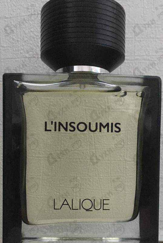 Купить L'insoumis от Lalique