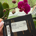 Отзывы Parfums de Marly Athalia