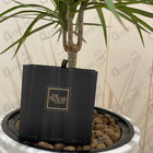 Отзыв The House of Oud Almond Harmony