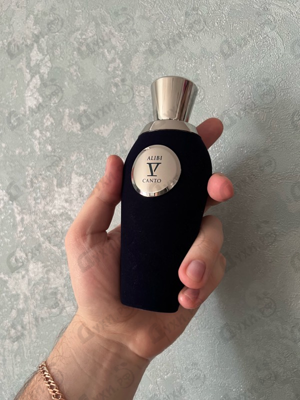 Купить V Canto Alibi