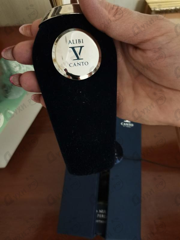 Купить Alibi от V Canto