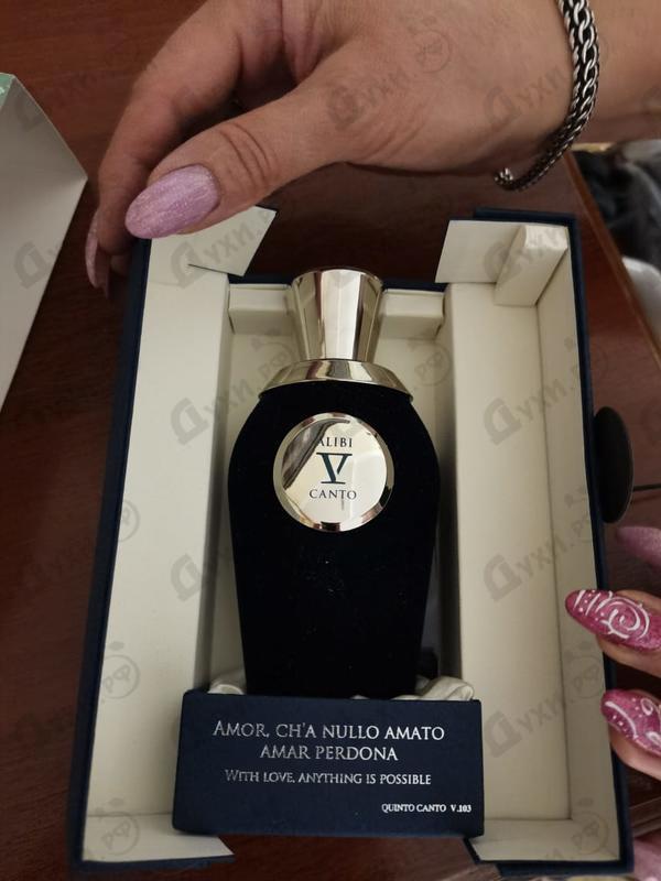 Отзывы V Canto Alibi