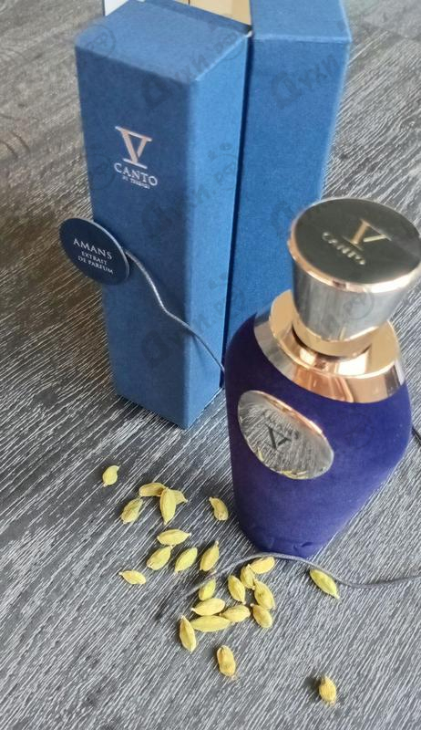 Купить Amans от V Canto