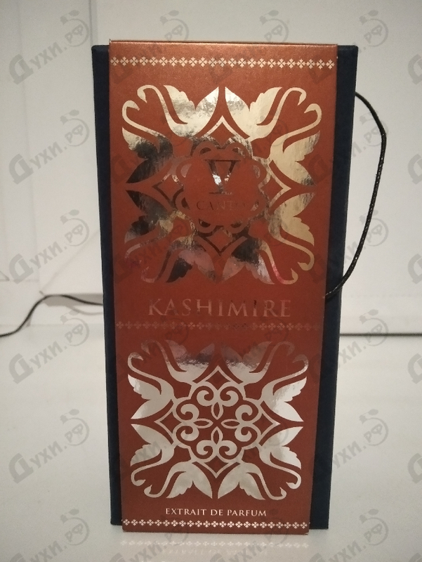 Отзыв V Canto Kashimire Купить Kashimire от V Canto