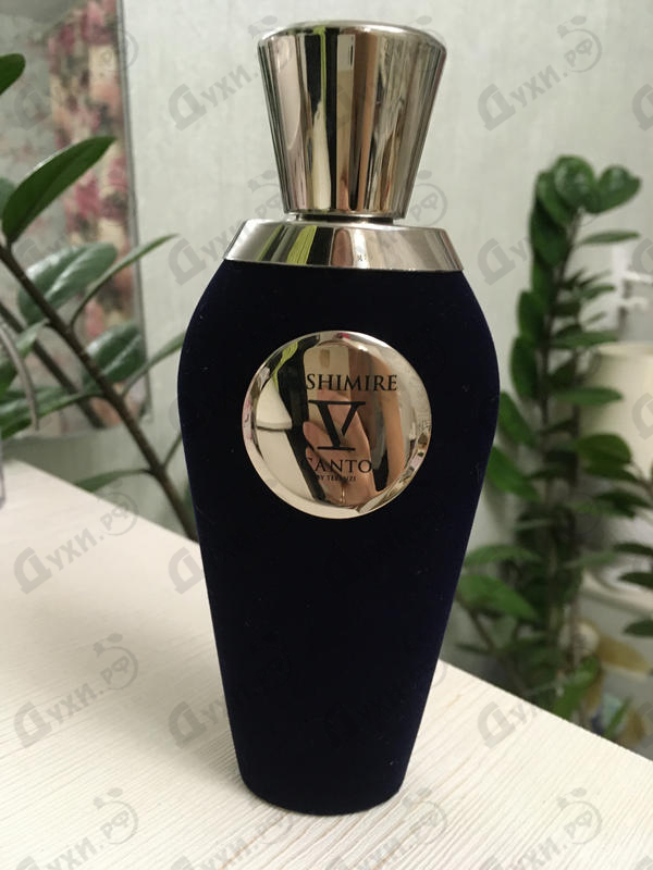 Духи Kashimire от V Canto Отзывы V Canto Kashimire