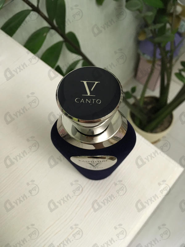 Парфюмерия Kashimire от V Canto Отзыв V Canto Kashimire