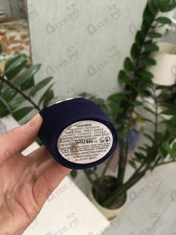 Отзыв V Canto Kashimire Купить Kashimire от V Canto