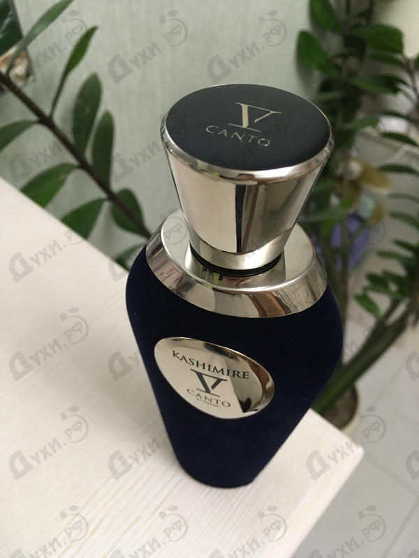 Духи Kashimire от V Canto Отзывы V Canto Kashimire