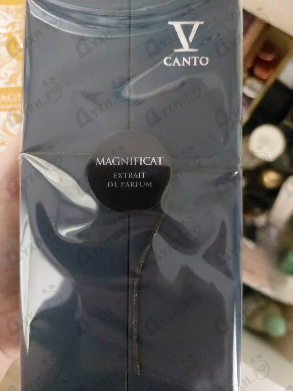 Парфюмерия V Canto Magnificat Купить Magnificat от V Canto