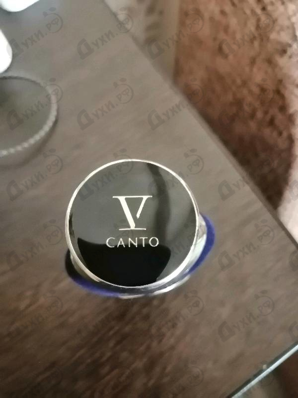 Отзывы V Canto Magnificat