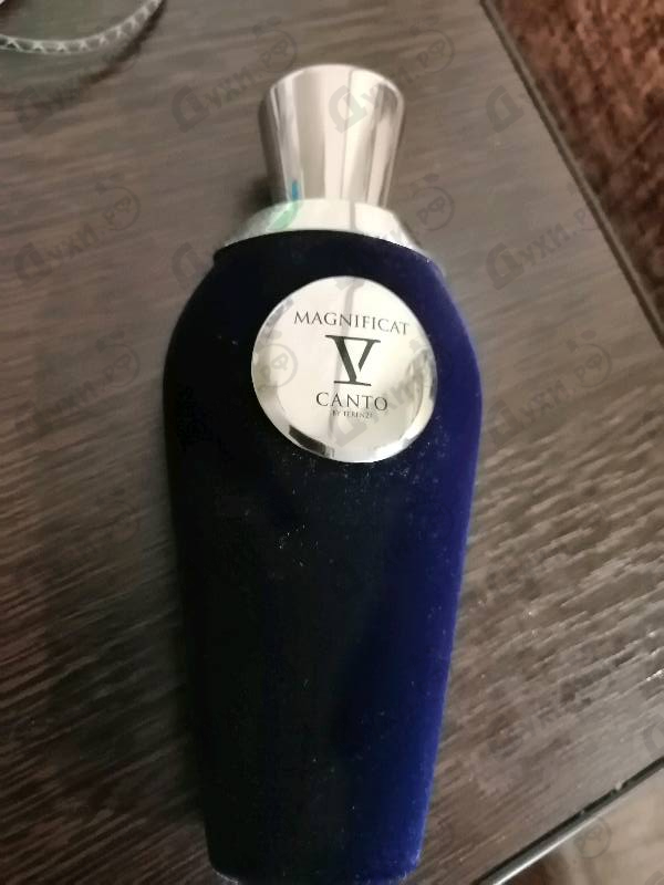 Отзывы V Canto Magnificat
