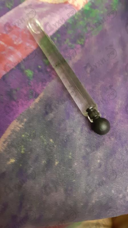 Парфюм Bottega Veneta Palladiano III Купить Palladiano III от Bottega Veneta