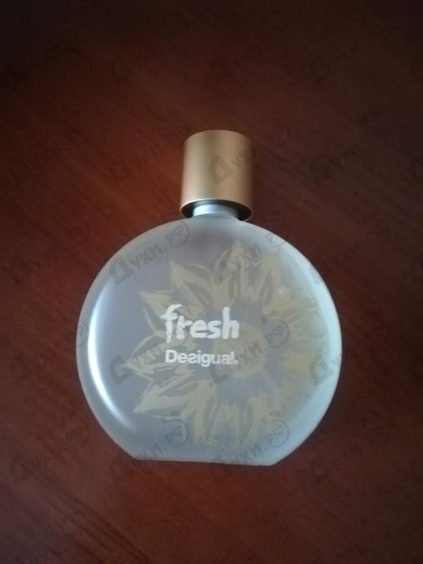 Купить Fresh от Desigual