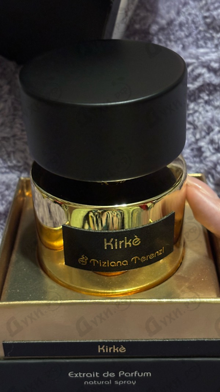 Отзывы Tiziana Terenzi Kirke