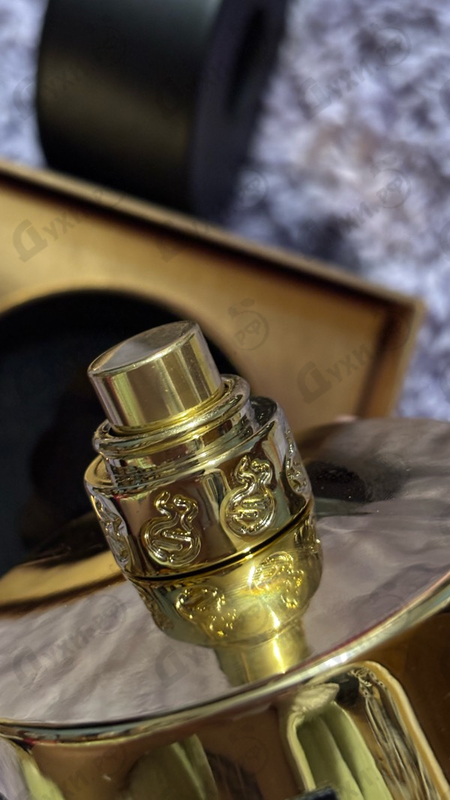 Парфюмерия Kirke от Tiziana Terenzi