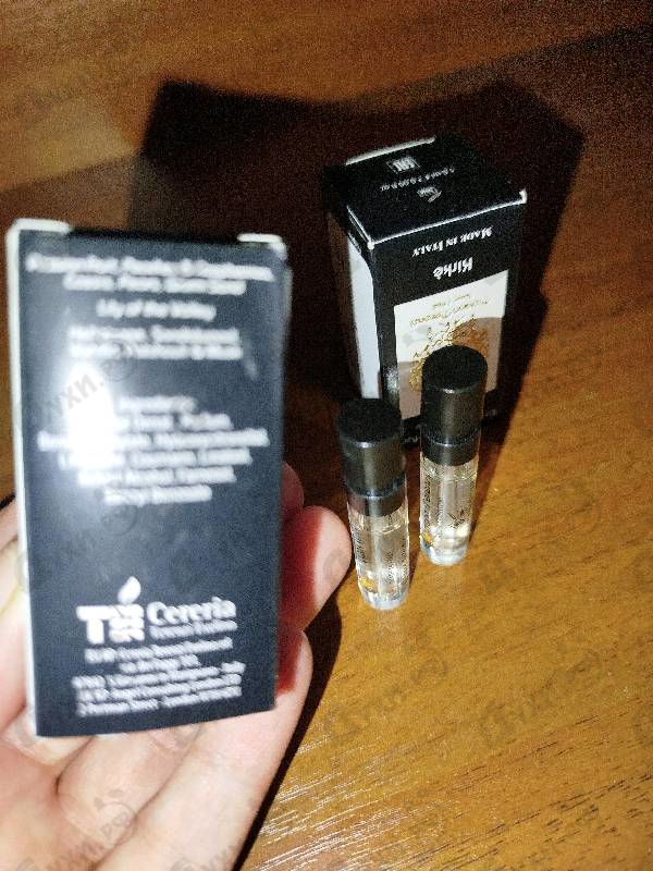 Отзывы Tiziana Terenzi Kirke