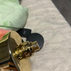 Отзывы Tiziana Terenzi Kirke