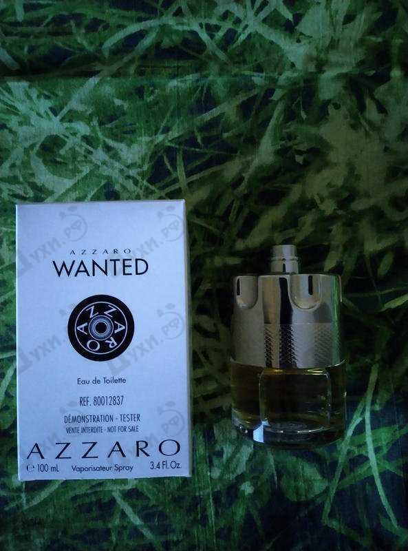Парфюмерия Wanted от Azzaro Отзывы Azzaro Wanted