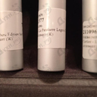 Отзывы Cartier La Panthere Edition Soir