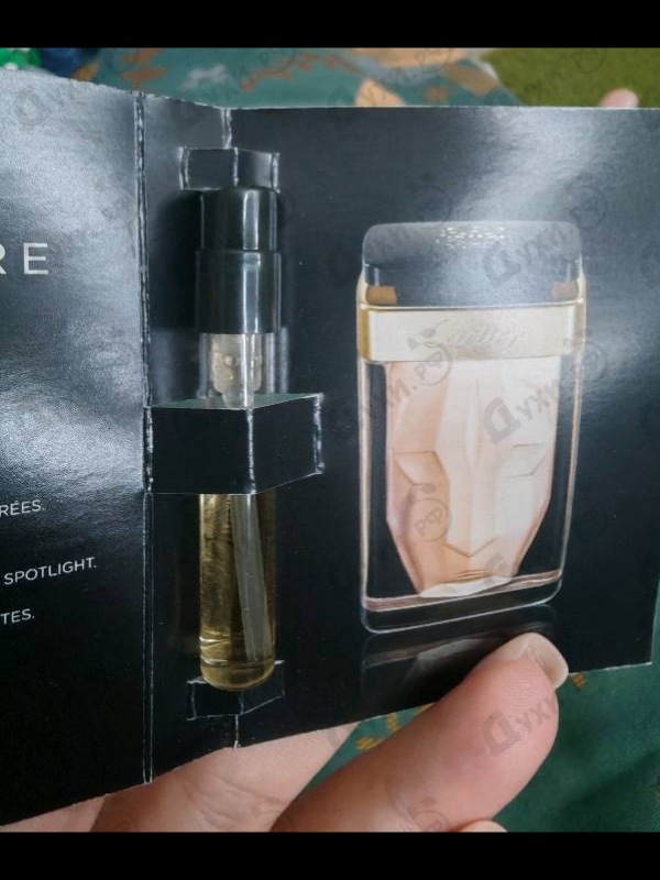 Купить La Panthere Edition Soir от Cartier