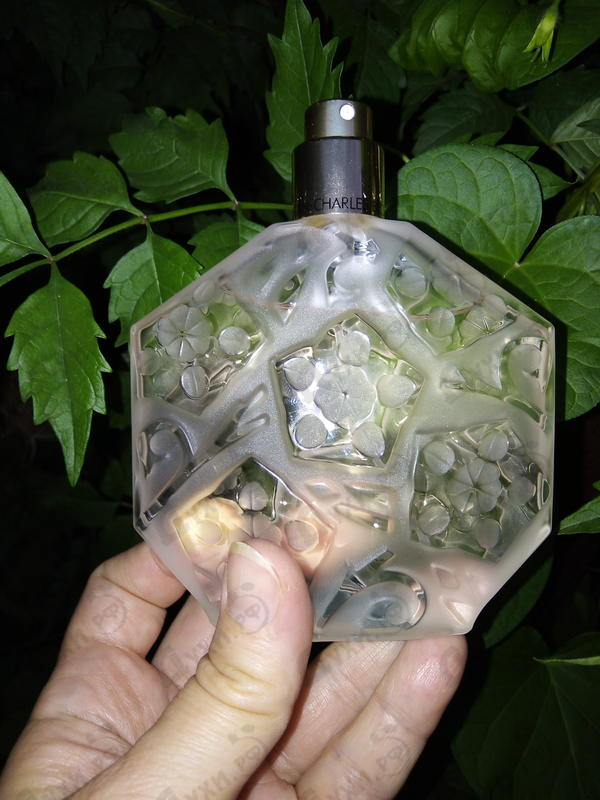 Парфюмерия Ombre Rose L'original от Jean Charles Brosseau