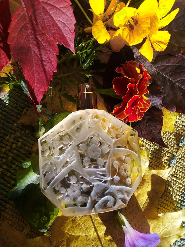 Парфюмерия Ombre Rose L'original от Jean Charles Brosseau