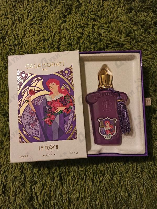 Духи La Tosca от Xerjoff