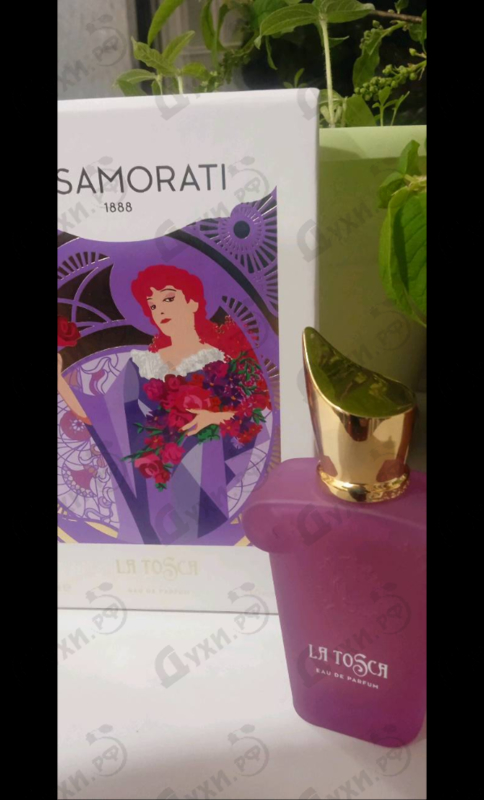 Парфюмерия La Tosca от Xerjoff