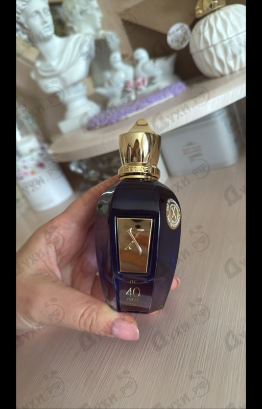 Купить 40 Knots от Xerjoff