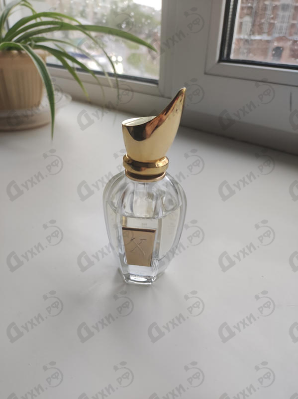 Отзывы Xerjoff Lua Парфюмерия Lua от Xerjoff