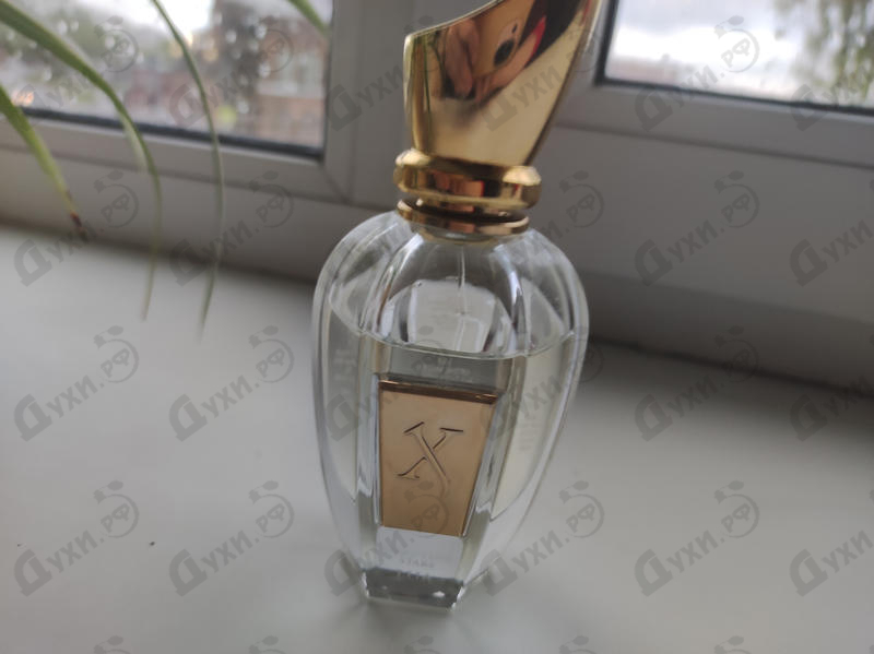 Парфюмерия Lua от Xerjoff