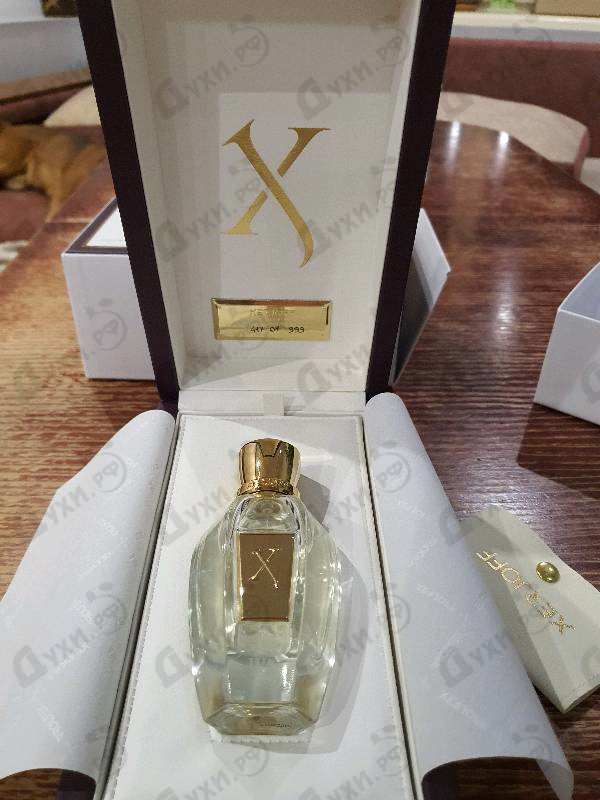 Парфюмерия Lua от Xerjoff Купить Xerjoff Lua