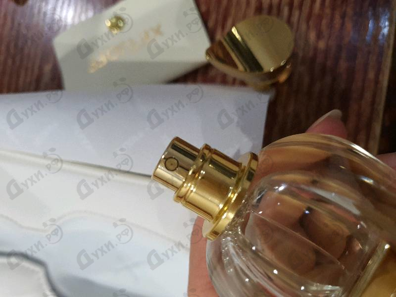 Купить Xerjoff Lua Купить Lua от Xerjoff