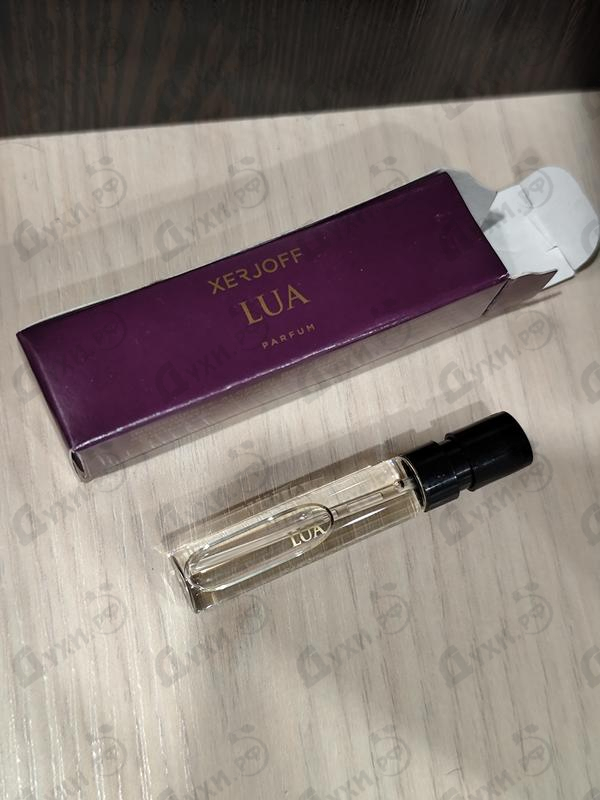 Купить Lua от Xerjoff