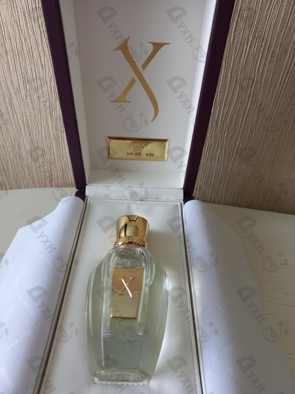 Купить Lua от Xerjoff