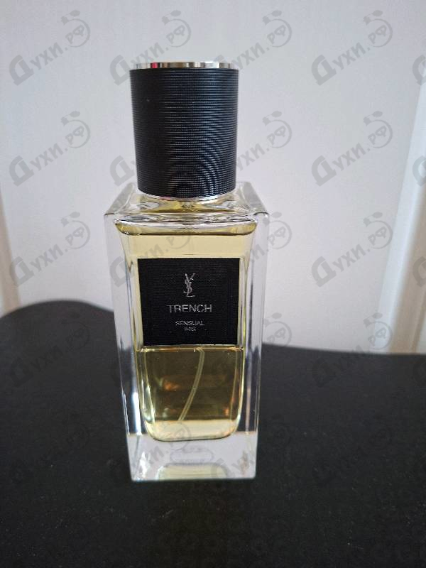 Купить Yves Saint Laurent Trench