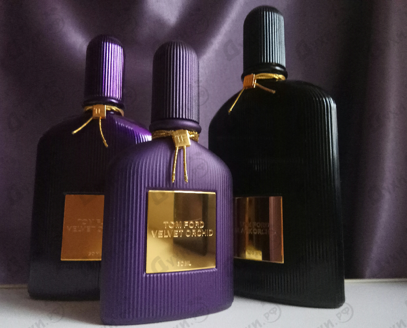 Купить Tom Ford Velvet Orchid Lumiere