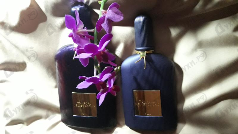 Купить Velvet Orchid Lumiere от Tom Ford