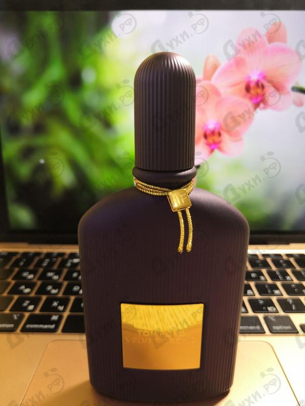 Духи Velvet Orchid Lumiere от Tom Ford