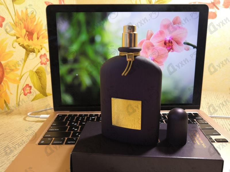 Отзывы Tom Ford Velvet Orchid Lumiere