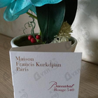 Отзывы Maison Francis Kurkdjian Baccarat Rouge 540
