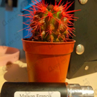 Отзывы Maison Francis Kurkdjian Baccarat Rouge 540