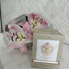 Парфюм Tiziana Terenzi Andromeda