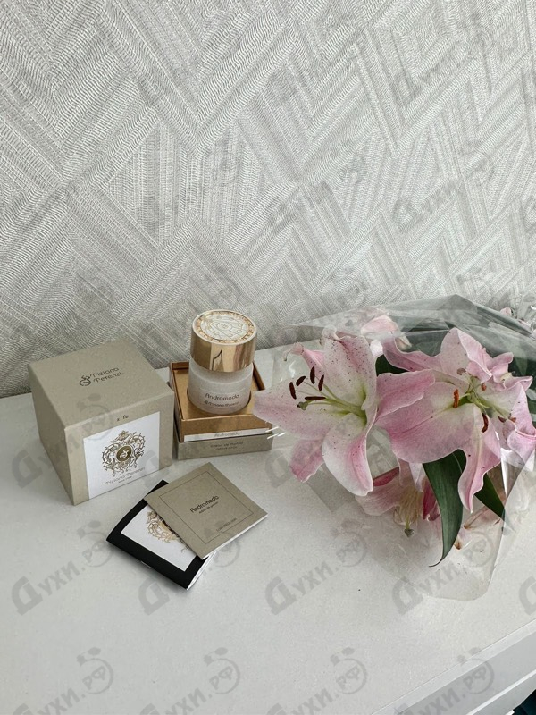 Купить Andromeda от Tiziana Terenzi Купить Tiziana Terenzi Andromeda